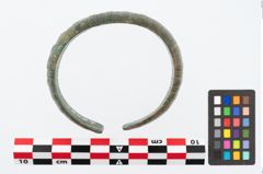Foto von Bronzemelonenarmreif (NHMW-PRAE-026497)